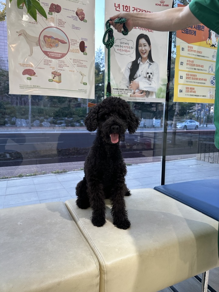 신공항동물병원_428349202301001